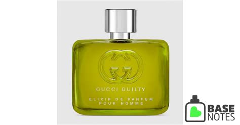 gucci homme basenotes|gucci guilty pour homme perfume.